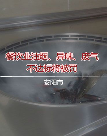 安阳市：餐饮服务机构油烟、异味、废气不达标将被罚